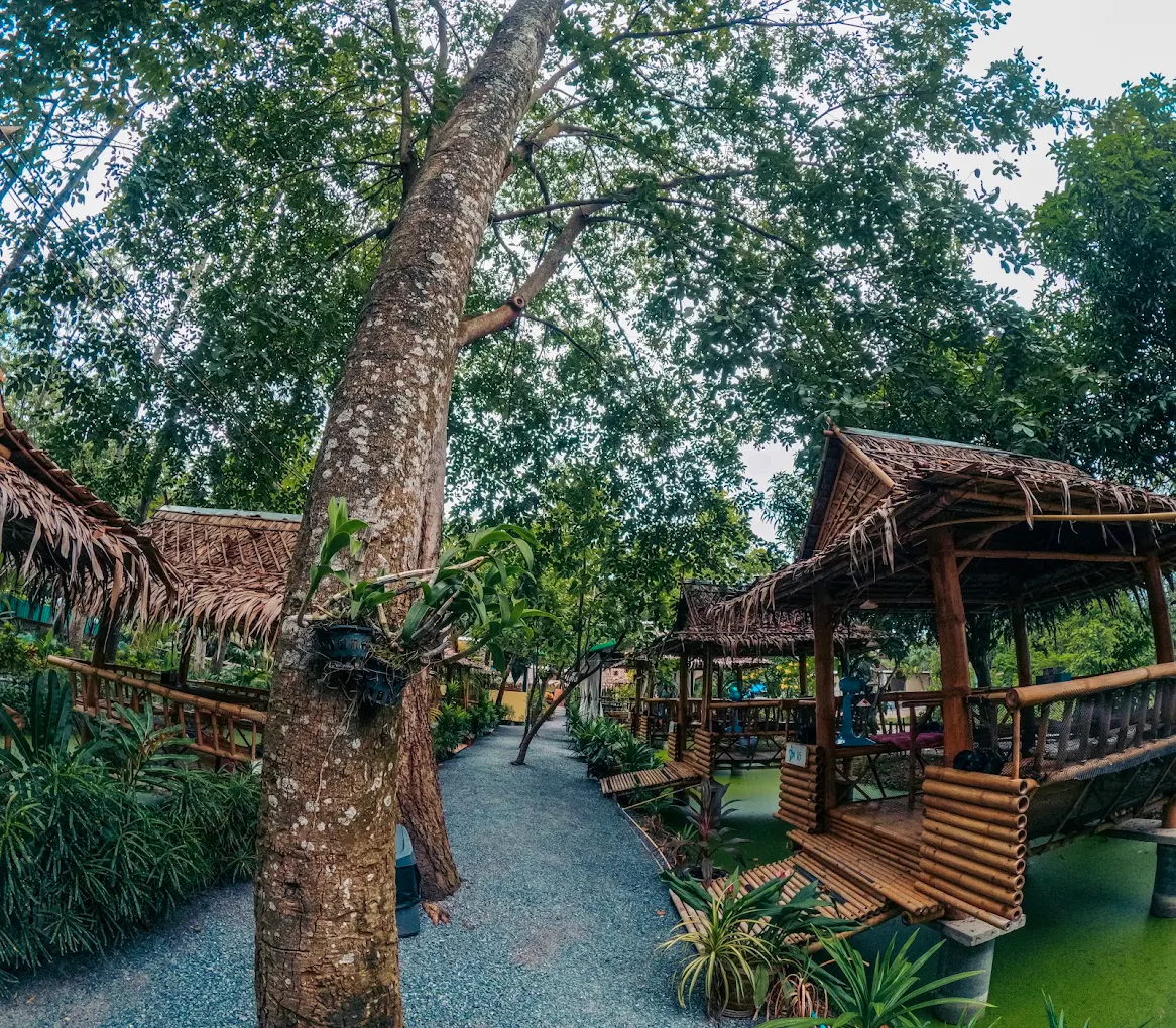 Yangna cafe' Khlong3