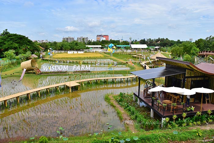 Wisdom Cafe